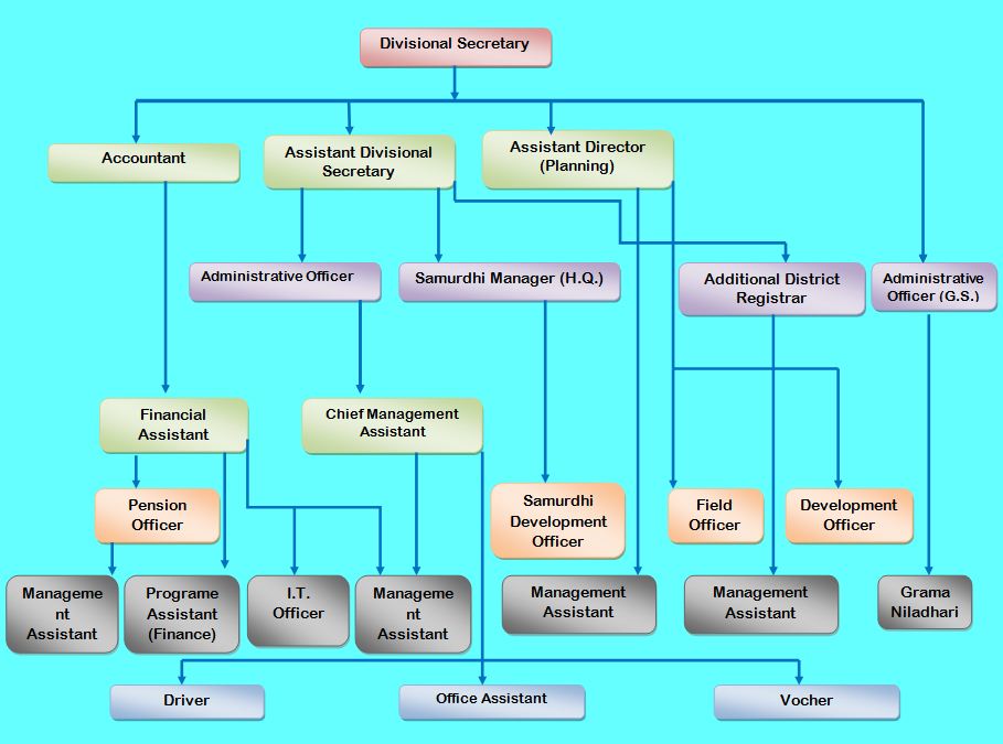 Admin Structor